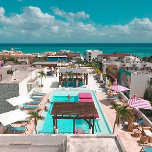 https://the-palm-at-playa.quintano-roohotels.com